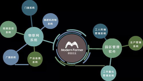 智慧沃土 物聯網技術賦能新型農業科技園的創新實踐與啟示