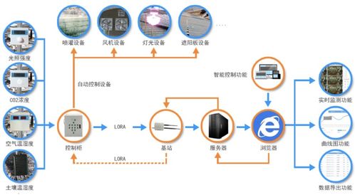 植物如何“聯網” 從Wi-Fi控制捕蠅草看物聯網技術的跨界服務